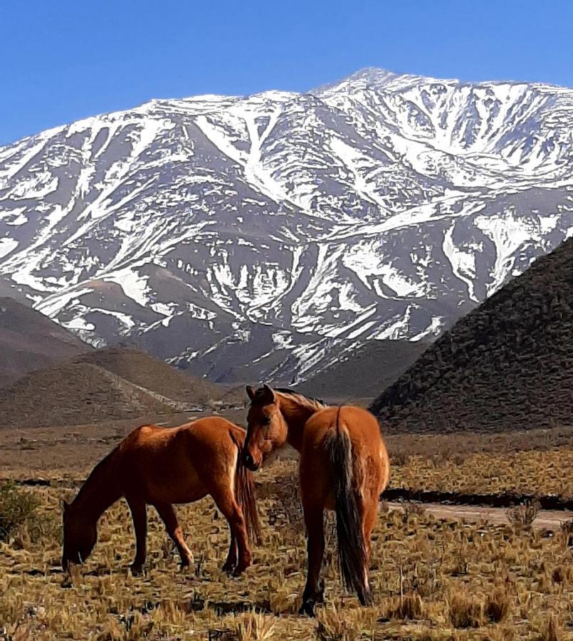 Arribadelvalle - Casas De Altura Potrerillos Buitenkant foto