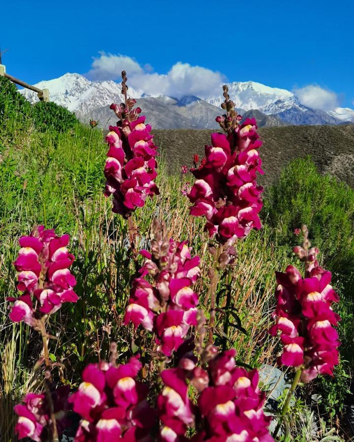 Arribadelvalle - Casas De Altura Potrerillos Buitenkant foto
